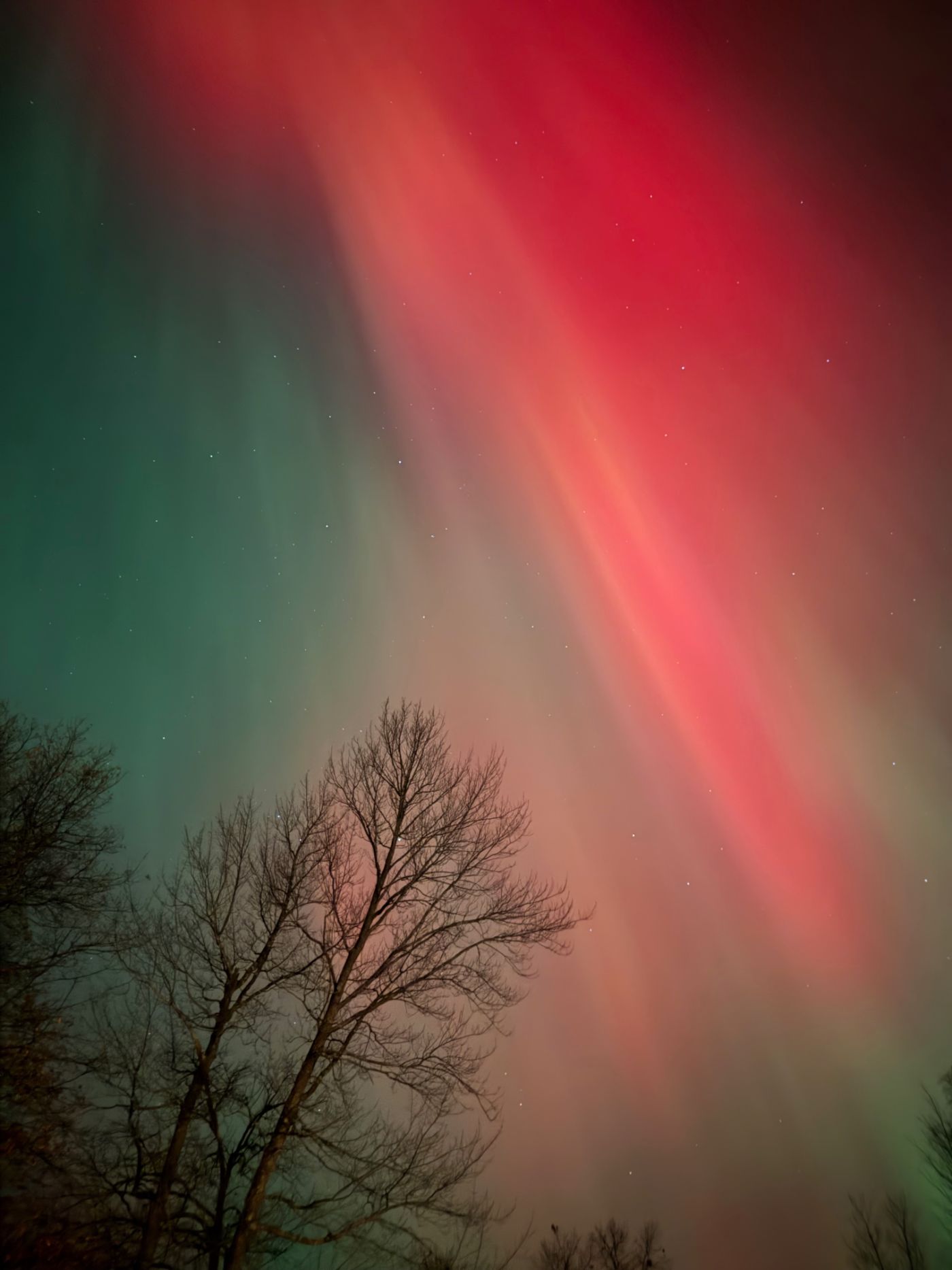Northern lights over Crosslake
